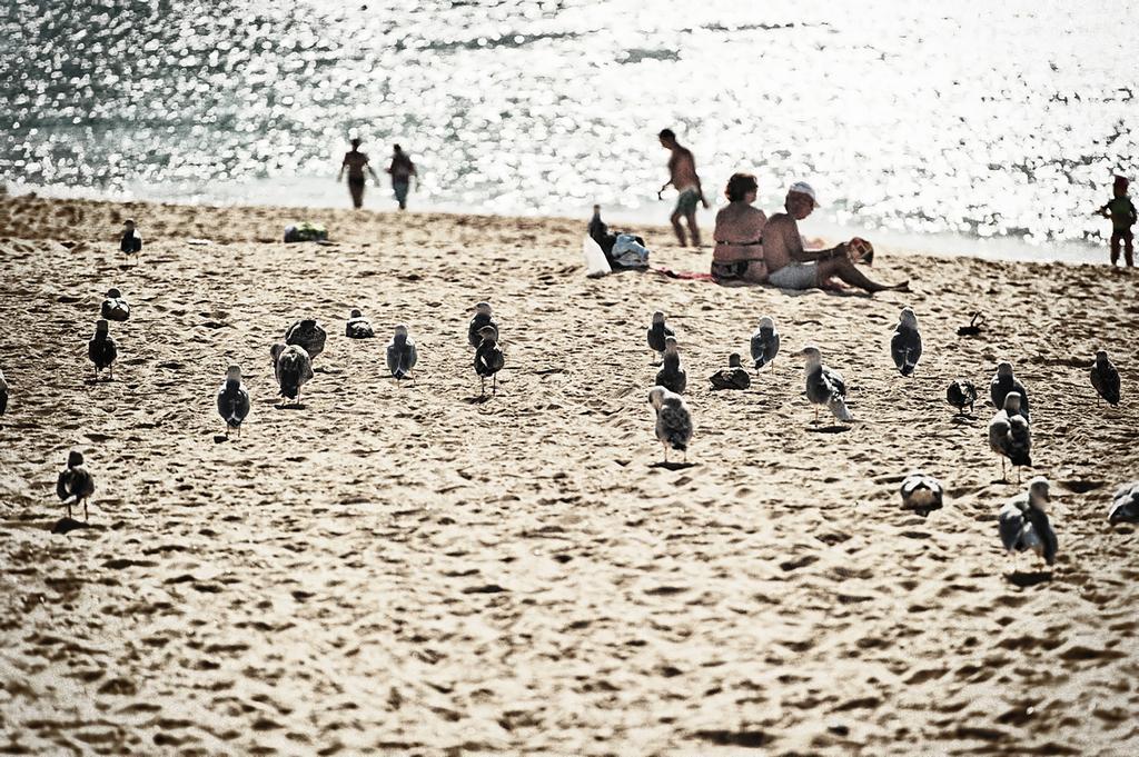 Rosamar Apartamentos Armação de Pêra المظهر الخارجي الصورة